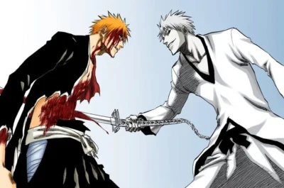 Top 10 Bleach Gifts for Birthdays - Bleach AU Store